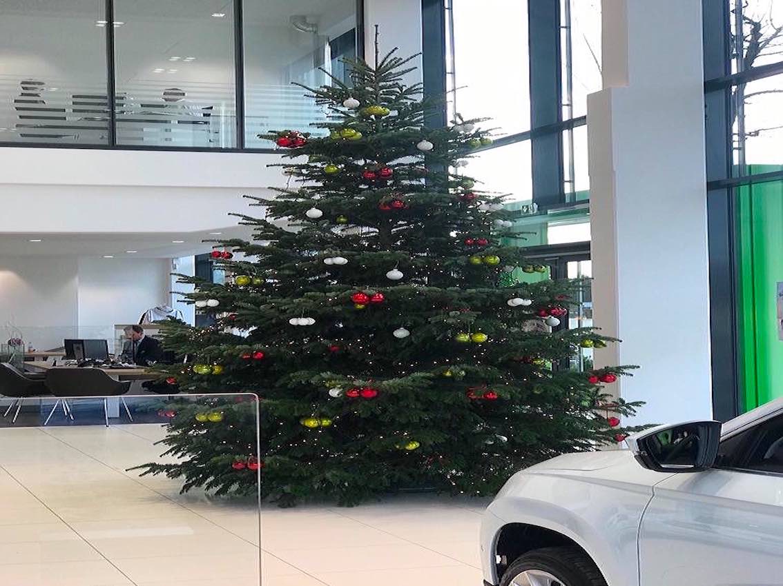 Autohaus München großer breiter Weihnachtsbaum