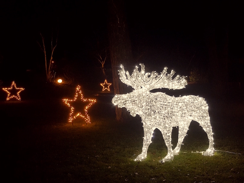 Weihnachtsbeleuchtung vom Profi